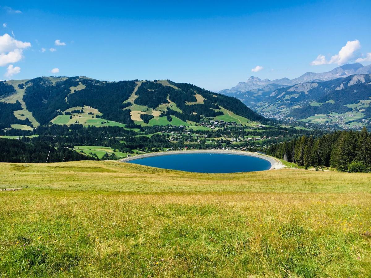 Ferienwohnung Le Hameau des Neiges Praz-sur-Arly Exterior foto