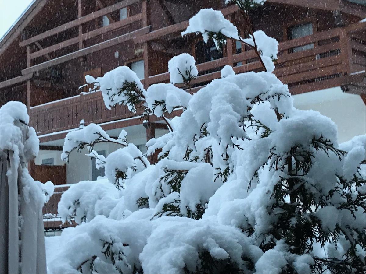 Ferienwohnung Le Hameau des Neiges Praz-sur-Arly Exterior foto